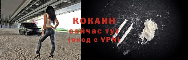 мдпв Каменногорск