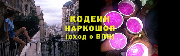 мдпв Каменногорск