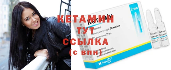 крисы Каменка