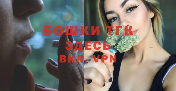 спайс Карпинск