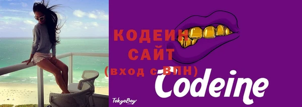 мдпв Каменногорск