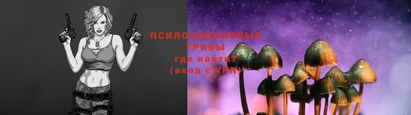 дмт Каменск-Шахтинский