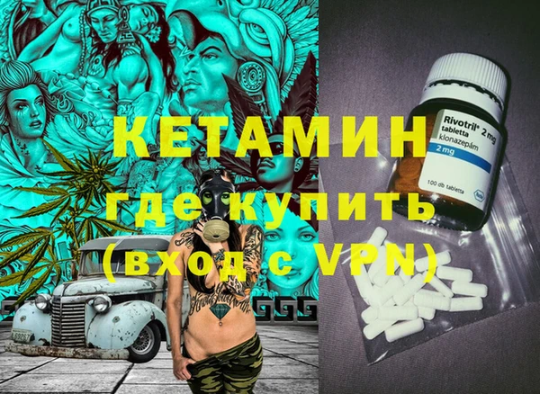 крисы Каменка