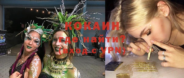 мдпв Каменногорск