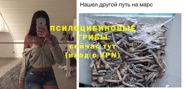 мдпв Каменногорск