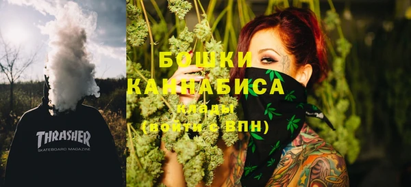 крисы Каменка