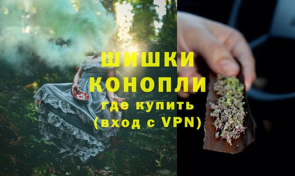 крисы Каменка