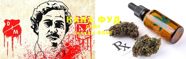 мдпв Каменногорск