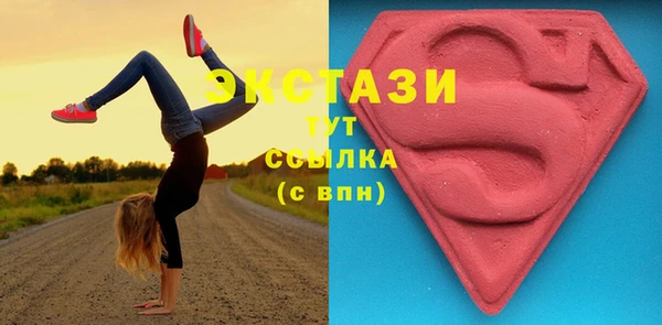 крисы Каменка