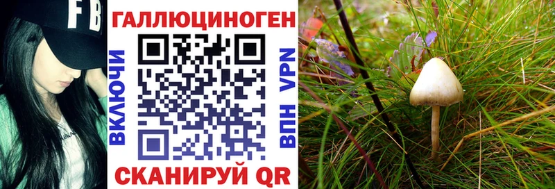 Галлюциногенные грибы Cubensis MEGA рабочий сайт Прокопьевск